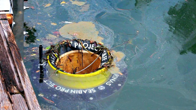Máy hút rác đại dương có thật sự tốt không?